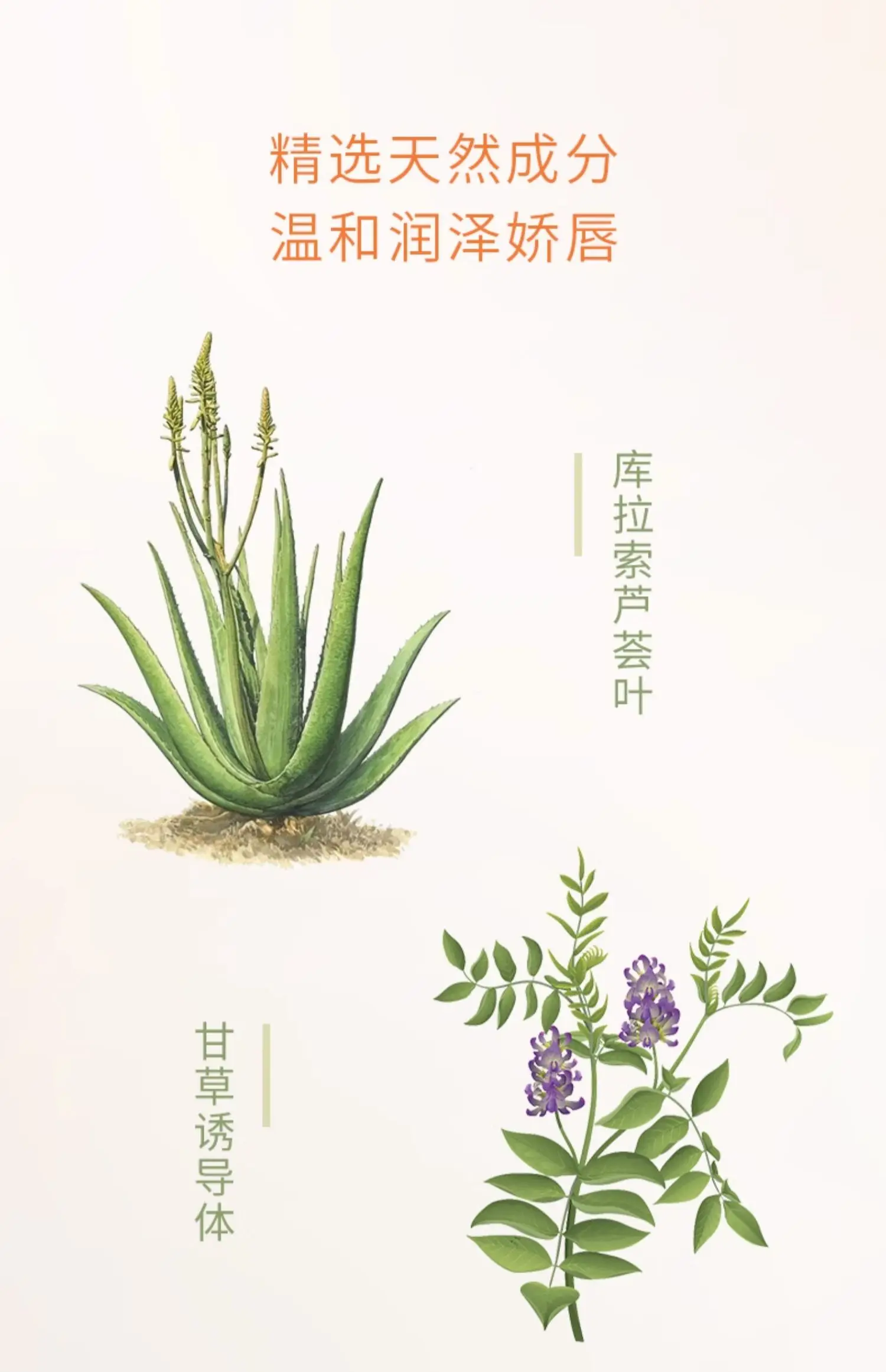 护唇膏广告(护唇膏哪个牌子最好用)